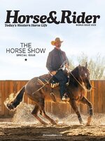 Horse & Rider
